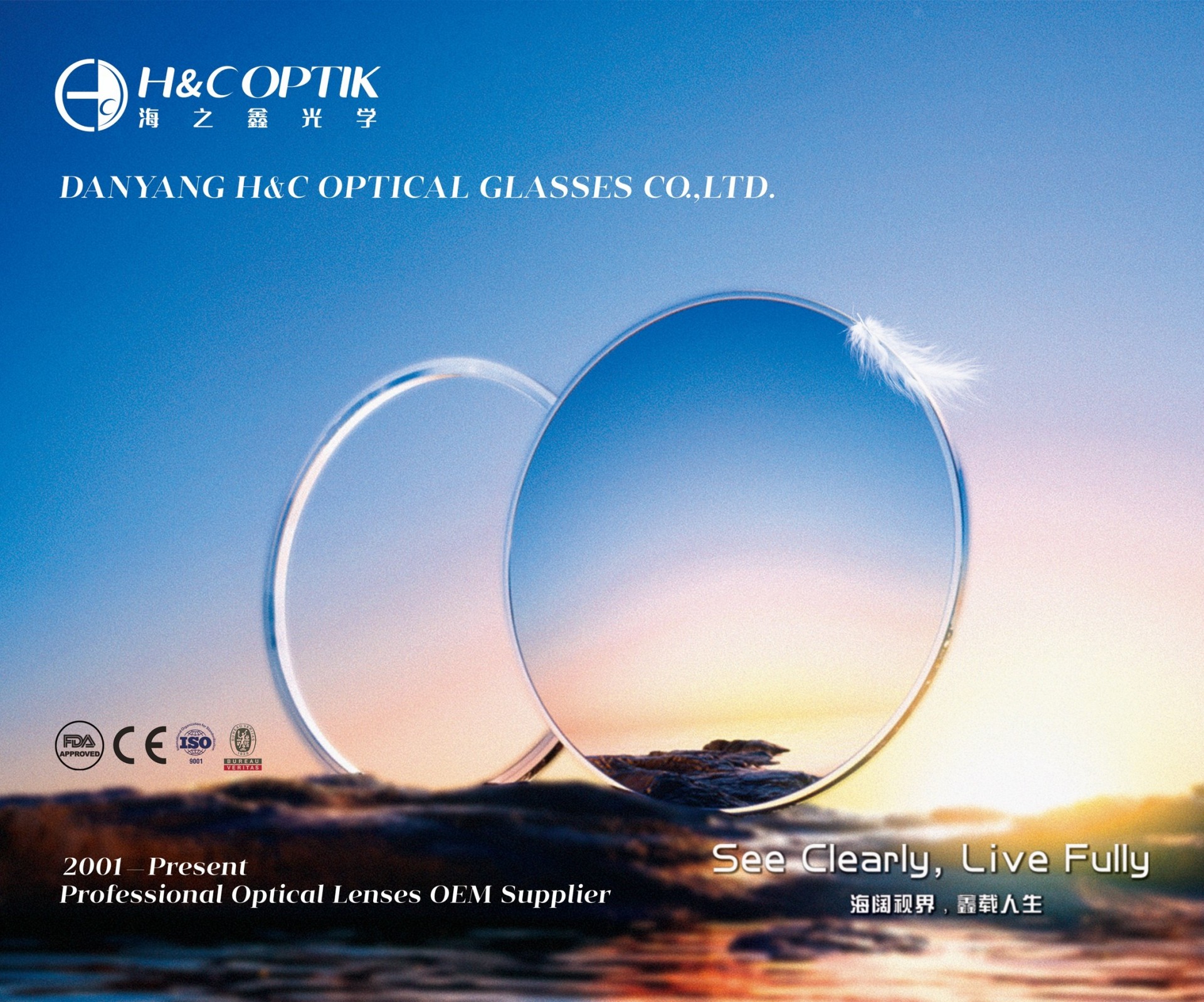 Global Lens Market Overview in 2024-aa (2).jpg